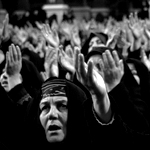 Photo by: Sahar Mokhtari