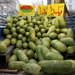 Photo by: Ahmad Neshan